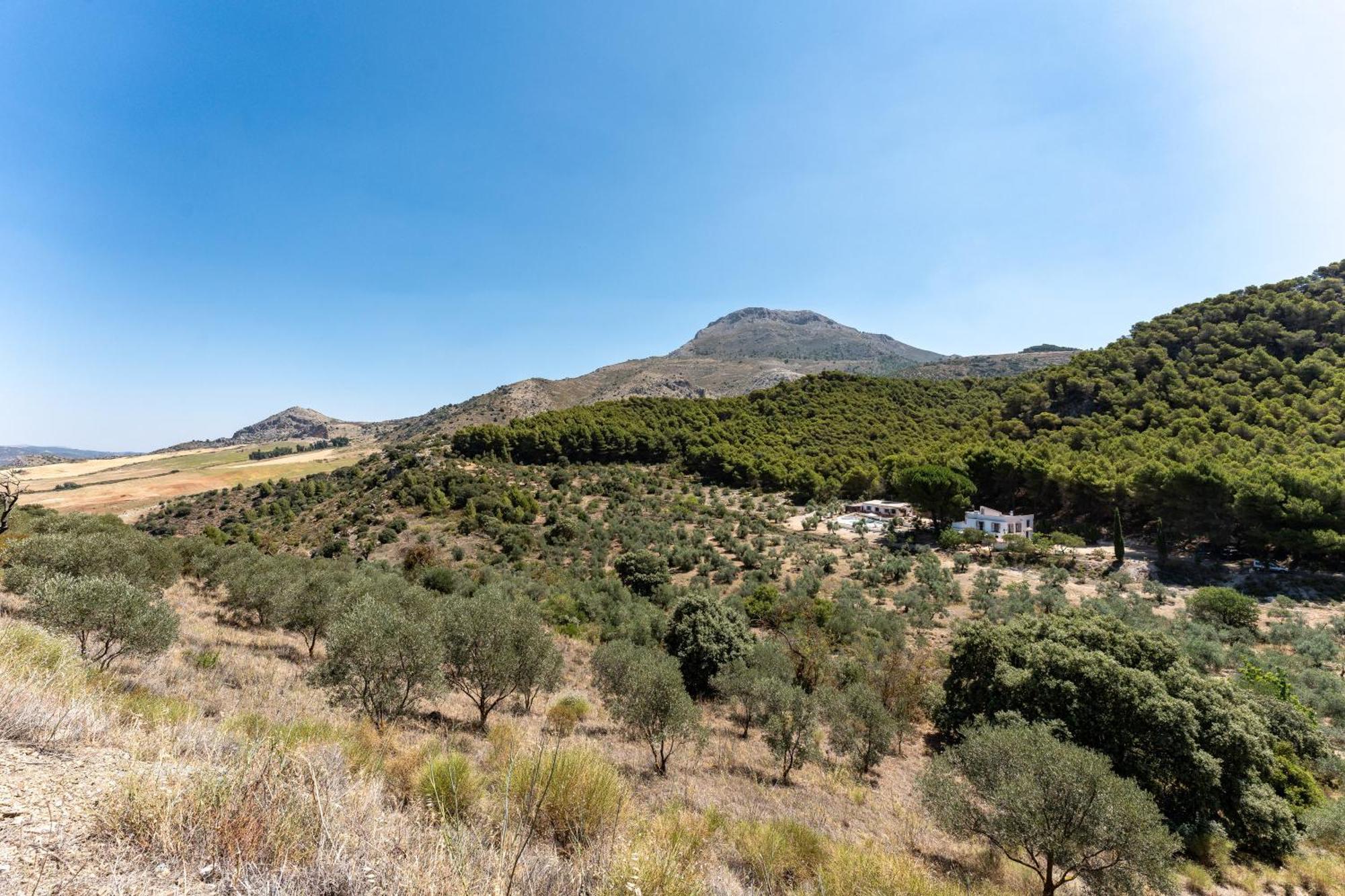 Cortijo La Zahurdilla Yunquera Extérieur photo